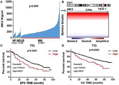 Targeting MK2 Is a Novel Approach to Interfere in Multiple Myeloma